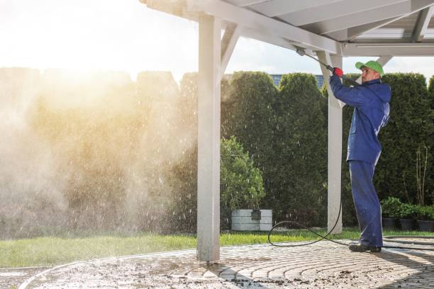 Best Roof Washing  in Sullivan City, TX