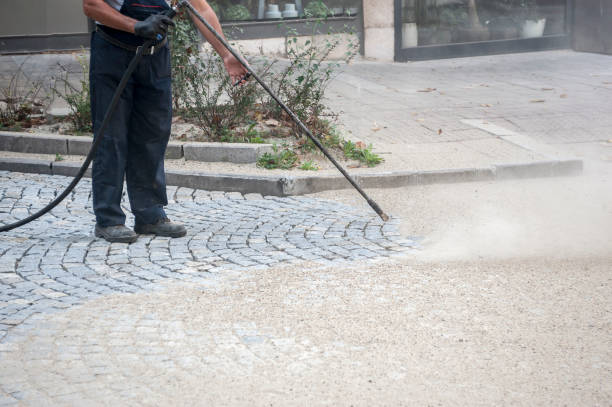 Best Sign and Awning Cleaning  in Sullivan City, TX