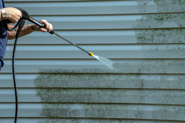 Best Dumpster Area Cleaning  in Sullivan City, TX